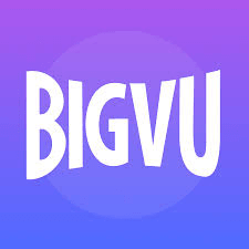 BigVu