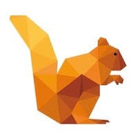 DataSquirrel