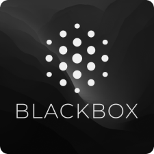 Blackbox AI