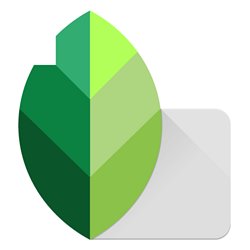 Snapseed - Photo Editing App